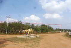 No Property Image